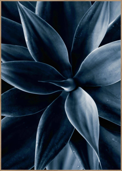 Dark plant 1 | INDRAMMET BILLEDE Indrammet billede MF