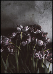 Dark tulips | INDRAMMET BILLEDE Indrammet billede MF 30x40 Sort