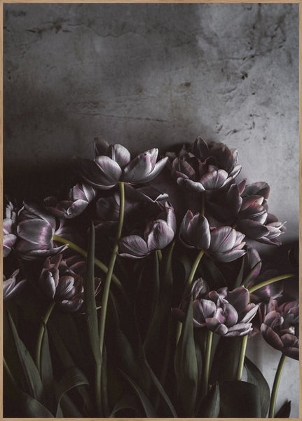 Dark tulips | INDRAMMET BILLEDE Indrammet billede MF 30x40 Egeramme