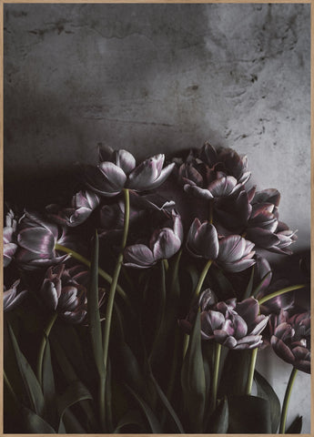 Dark tulips | INDRAMMET BILLEDE Indrammet billede MF 30x40 Egeramme