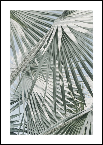 Daylight leaves | INDRAMMET BILLEDE Indrammet billede MF 30x40 Sort