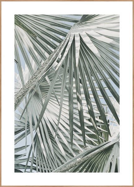 Daylight leaves | INDRAMMET BILLEDE Indrammet billede MF 30x40 Egeramme
