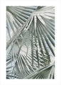 Daylight Leaves | PLAKAT