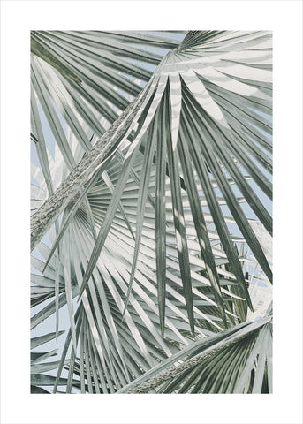 Daylight Leaves | PLAKAT Plakat MF