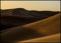 Desert 2 | INDRAMMET BILLEDE