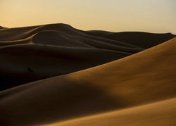 Desert 2 | PLAKAT Plakat MF