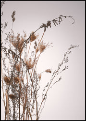 Everlasting | INDRAMMET BILLEDE Indrammet billede MF 30x40 Sort