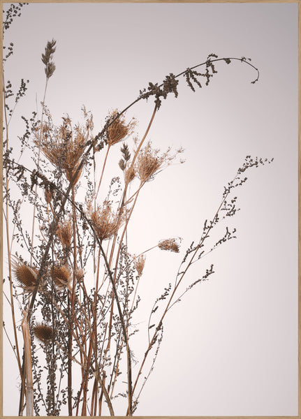 Everlasting | INDRAMMET BILLEDE Indrammet billede MF 30x40 Egeramme