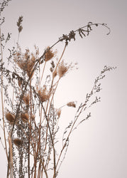 Everlasting | PLAKAT Plakat MF