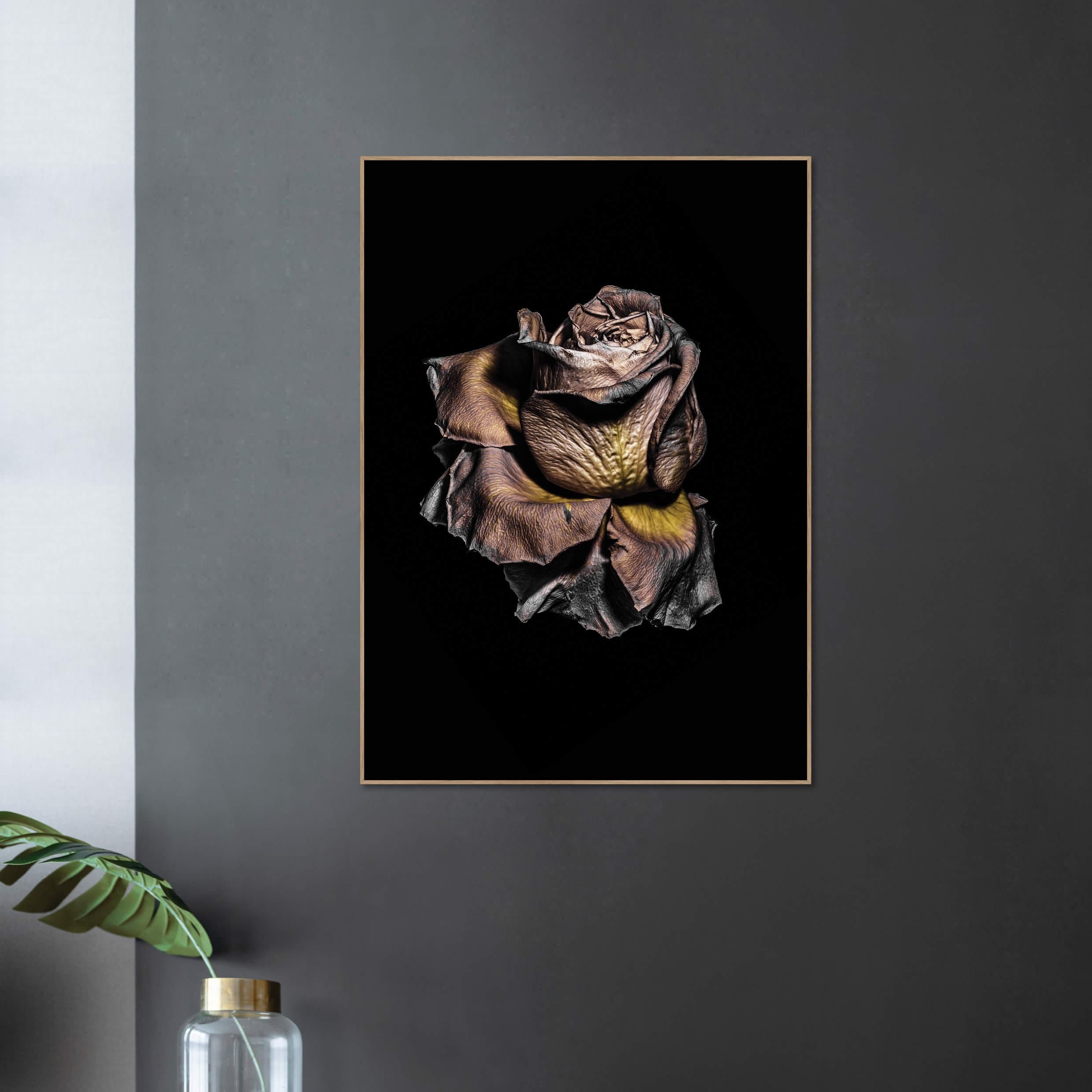 Metallic Rose | INDRAMMET BILLEDE Indrammet billede MF