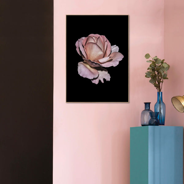 Pink Rose | INDRAMMET BILLEDE Indrammet billede MF