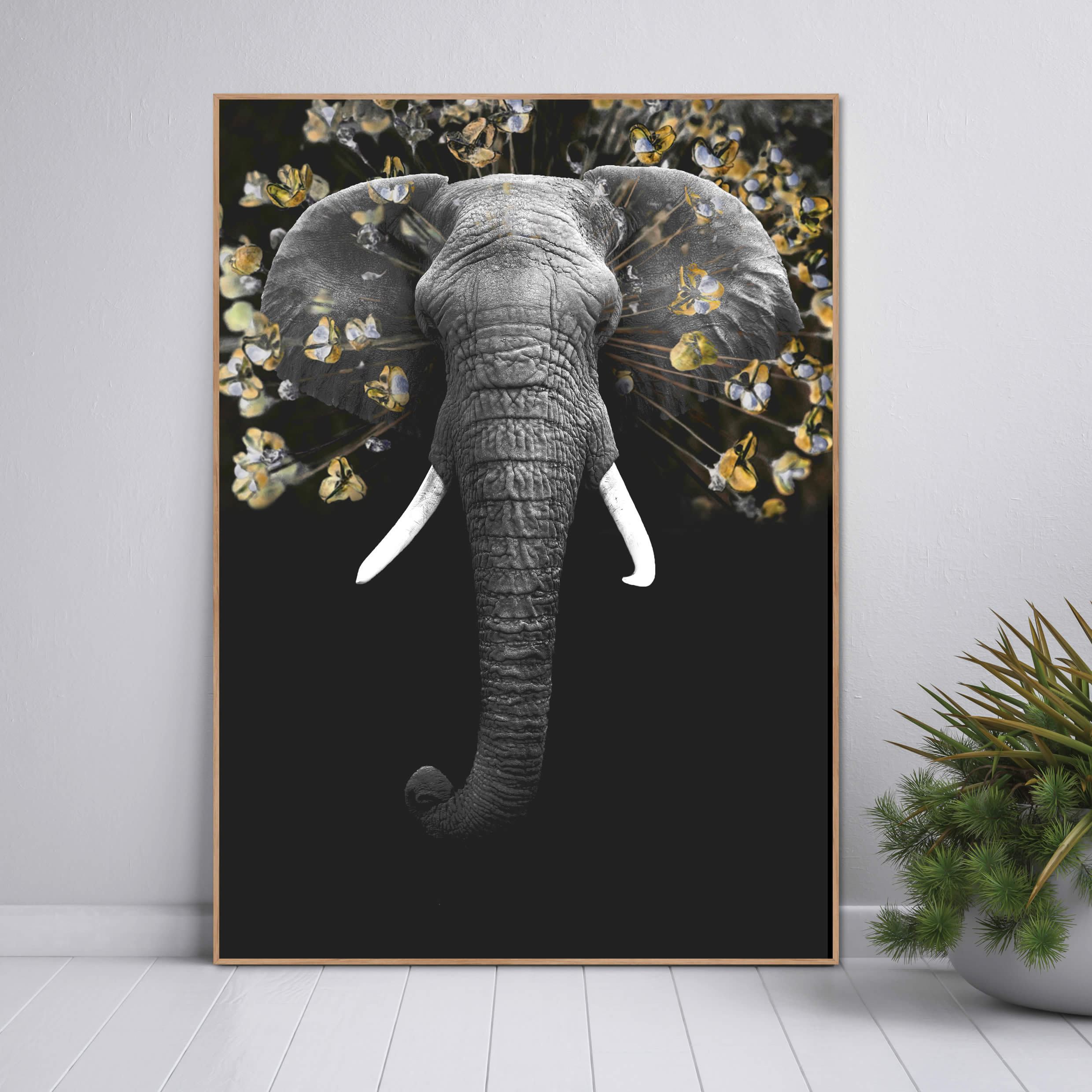 Magnificent | INDRAMMET BILLEDE Indrammet billede MF