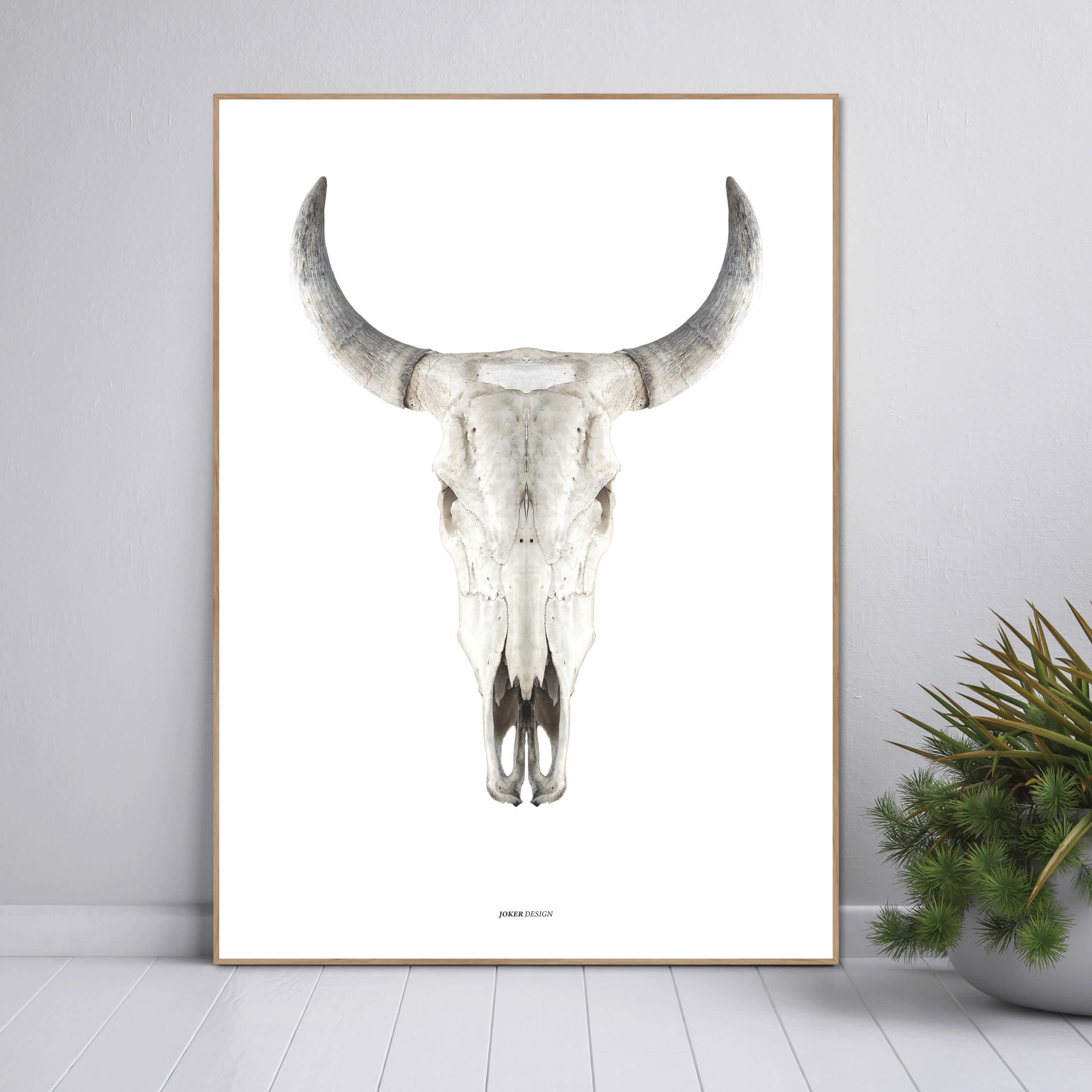 Cow skull | INDRAMMET BILLEDE Indrammet billede MF