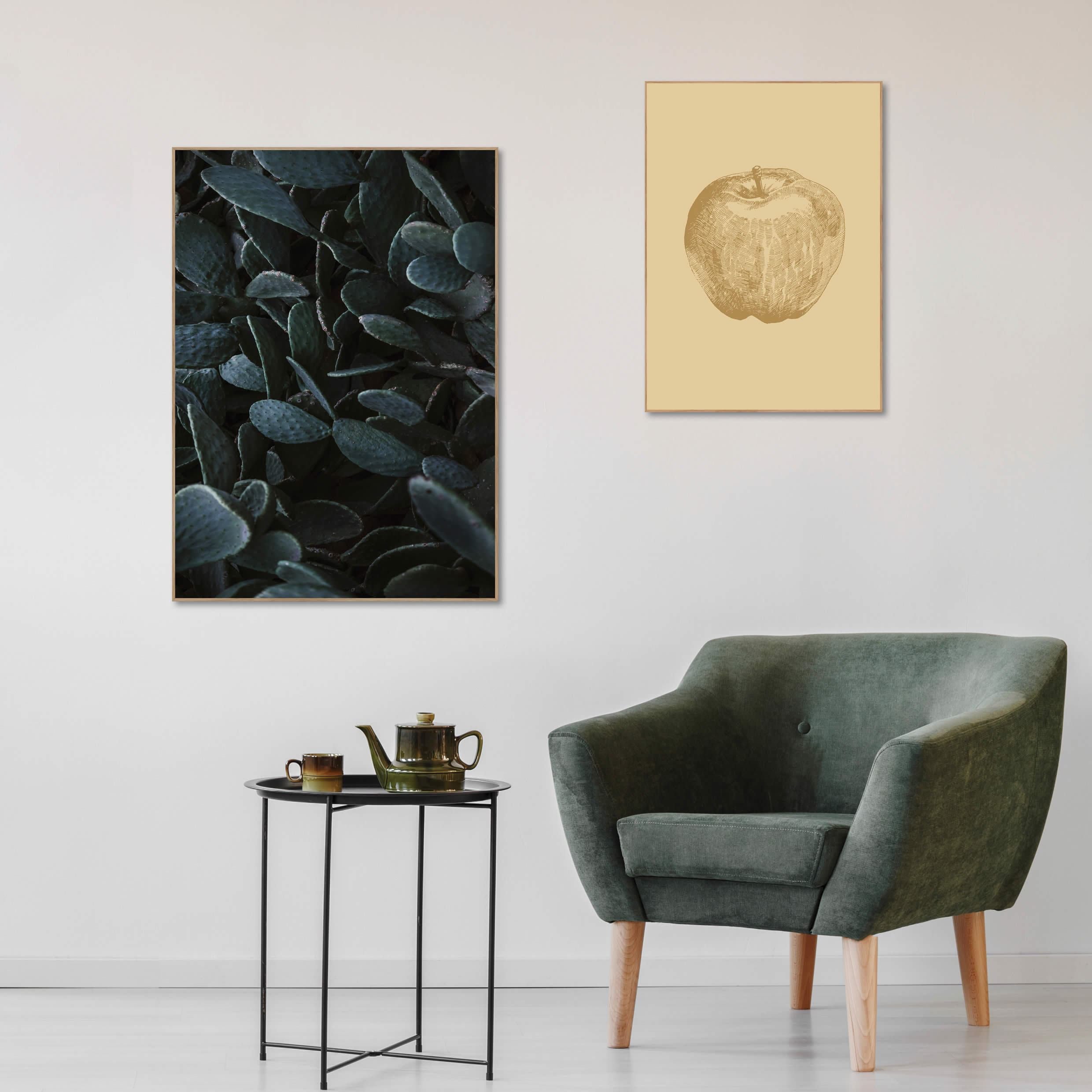 Cactus heaven | INDRAMMET BILLEDE Indrammet billede MF