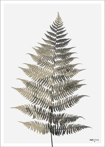 Fern One | PLAKAT Plakat MF