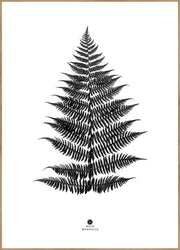 Fern black | INDRAMMET BILLEDE Indrammet billede MF 30x40 Egeramme