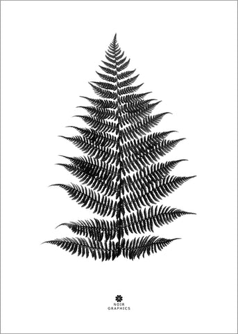 Fern black | PLAKAT Plakat MF