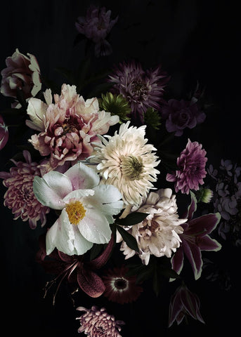 Floral Bouquet 1 | PLAKAT Plakat MF