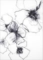 Flower Line 2 | PLAKAT