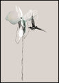 Flower | INDRAMMET BILLEDE