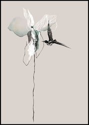 Flower | INDRAMMET BILLEDE Indrammet billede MF
