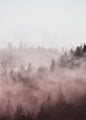 Foggy red  | PLAKAT