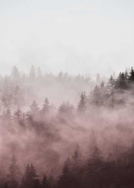 Foggy red | PLAKAT Plakat MF