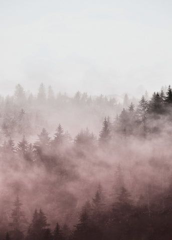 Foggy red | PLAKAT Plakat MF