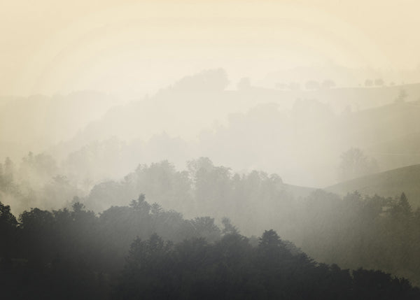 Foggy yellow | PLAKAT Plakat MF
