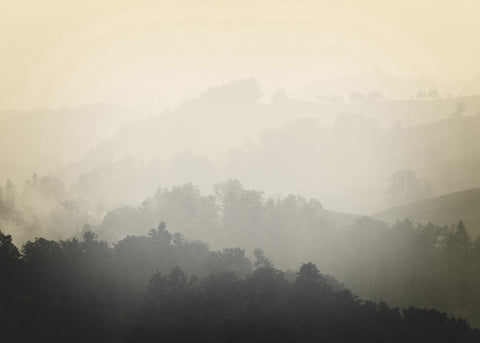 Foggy yellow | PLAKAT Plakat MF