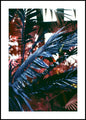 Funky jungle 2 | INDRAMMET BILLEDE