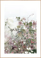 Garden Life 2 | INDRAMMET BILLEDE