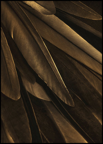 Gold wing | INDRAMMET BILLEDE Indrammet billede MF 30x40 Sort