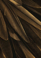 Gold wing | PLAKAT