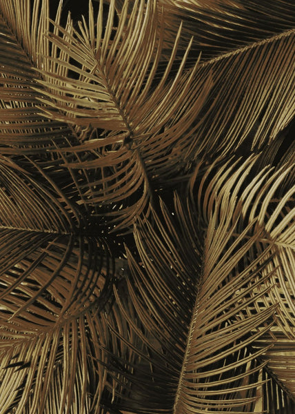 Golden palm 2 | PLAKAT Plakat MF