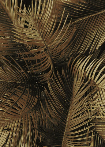 Golden palm 2 | PLAKAT Plakat MF