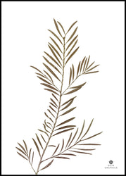 Grace 2 | INDRAMMET BILLEDE Indrammet billede MF 30x40 Sort