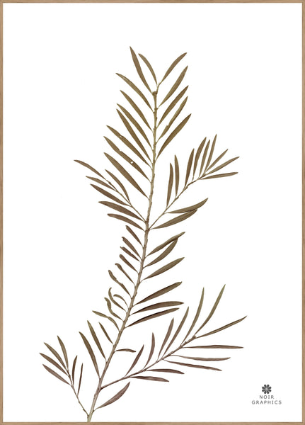 Grace 2 | INDRAMMET BILLEDE Indrammet billede MF 30x40 Egeramme