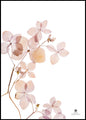 Grace 3 | INDRAMMET BILLEDE