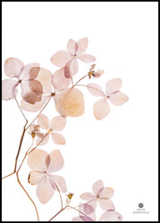 Grace 3 | INDRAMMET BILLEDE Indrammet billede MF