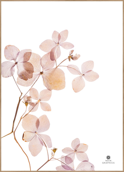 Grace 3 | INDRAMMET BILLEDE Indrammet billede MF