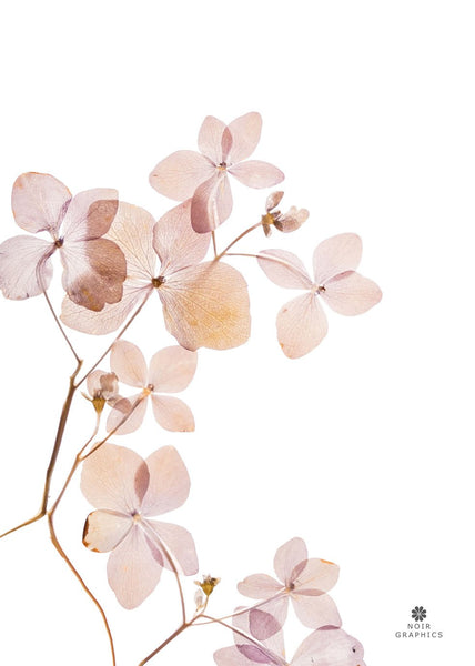 Grace 3 | INDRAMMET BILLEDE Indrammet billede MF