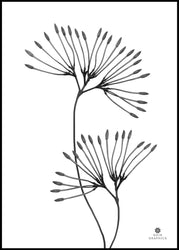 Grace | INDRAMMET BILLEDE Indrammet billede MF