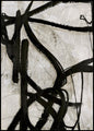 Graphical Lines 5 | INDRAMMET BILLEDE