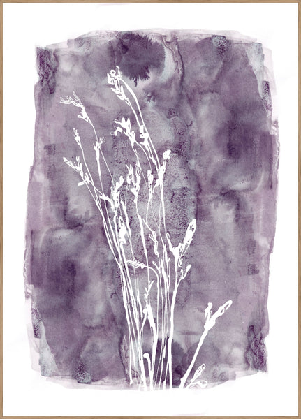 Grass 1 | INDRAMMET BILLEDE Indrammet billede MF