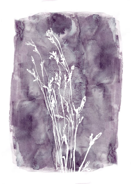 Grass 1 | INDRAMMET BILLEDE Indrammet billede MF