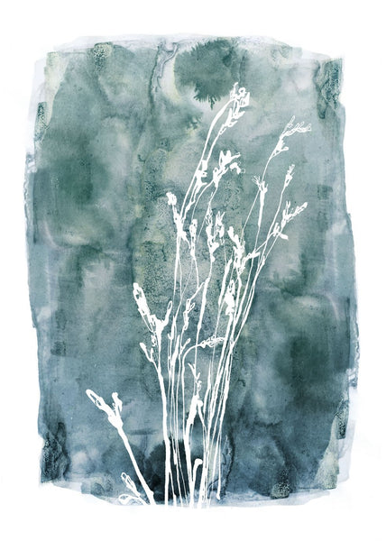 Grass 3 | INDRAMMET BILLEDE Indrammet billede MF