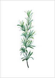 Green Plants 11 | PLAKAT Plakat MF
