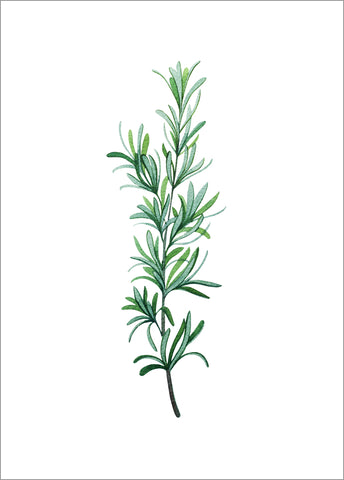 Green Plants 11 | PLAKAT Plakat MF