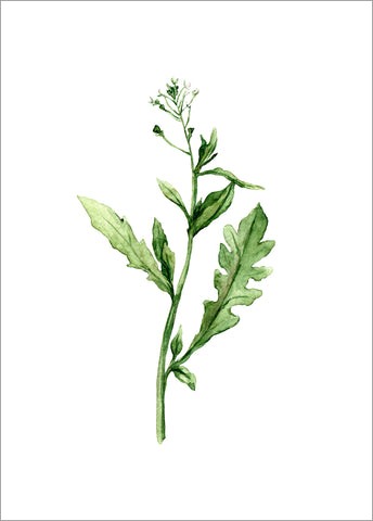 Green plants 12 | PLAKAT Plakat MF